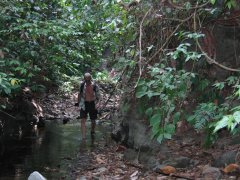 18-Hiking through the jungle